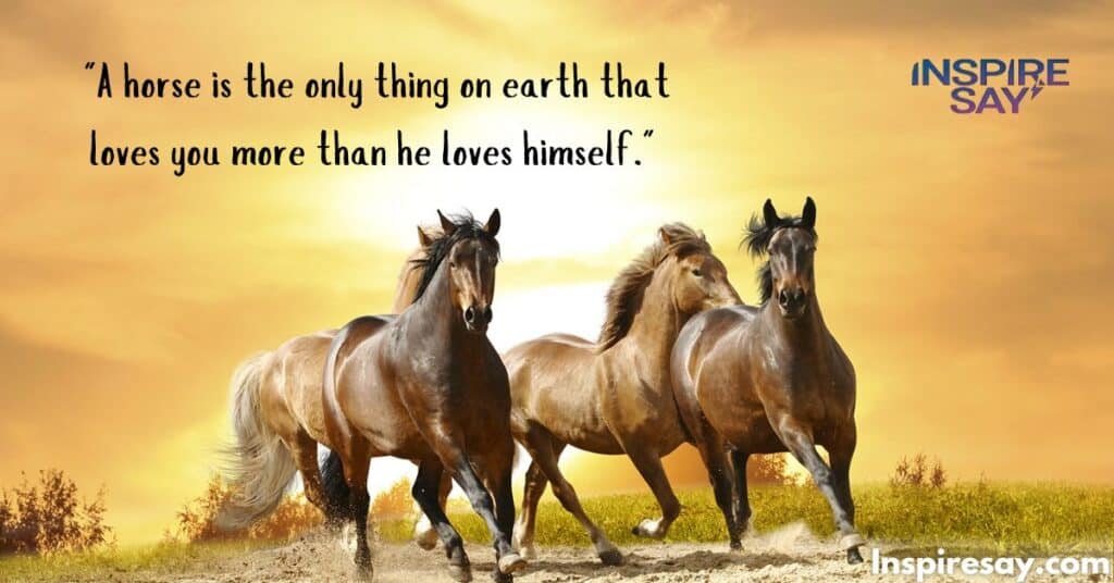 The Power of Friendship with Horses Quotes