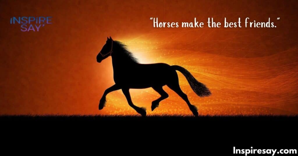 horses Quotes for Instagram – Short and Sweet  Wisdom