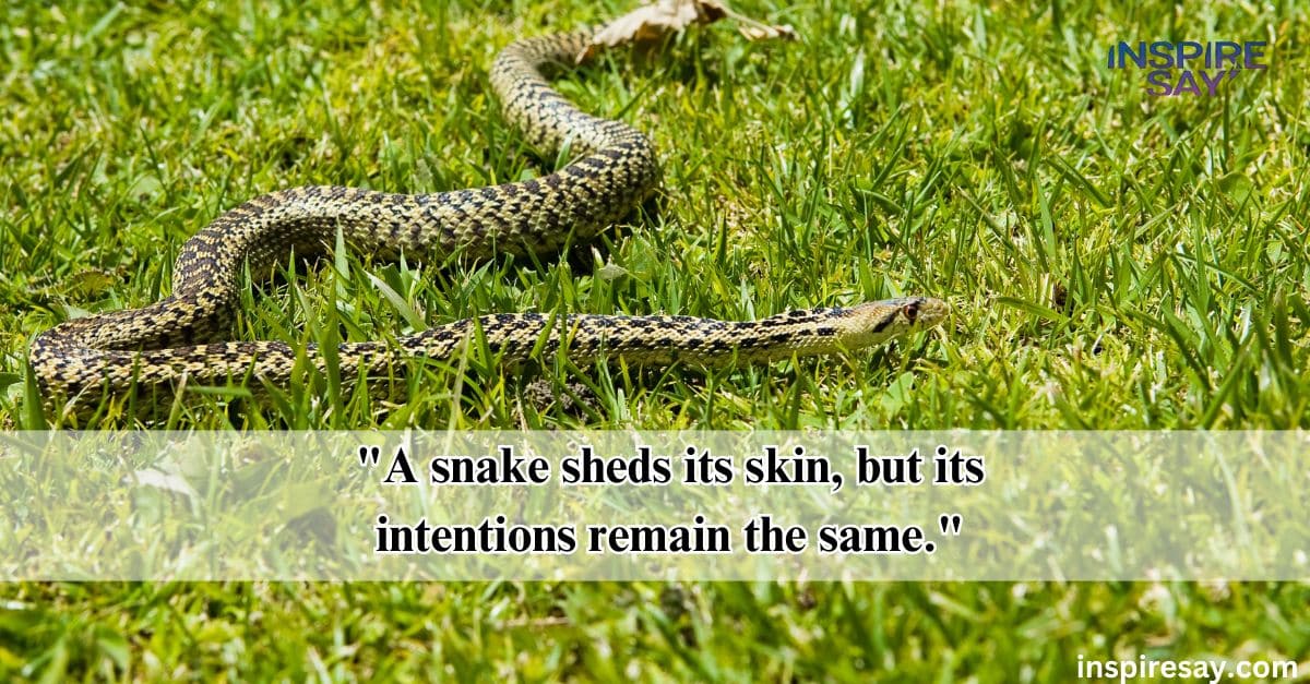 snakes in the grass quotes