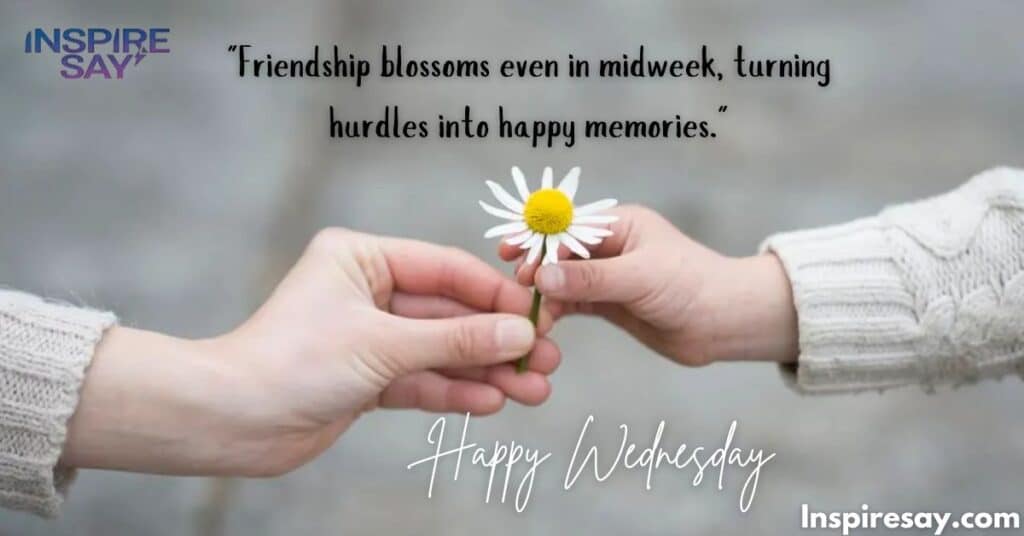 Love and Friendship Midweek